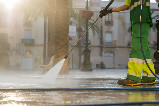 Best Roof Washing  in Burlington, WI